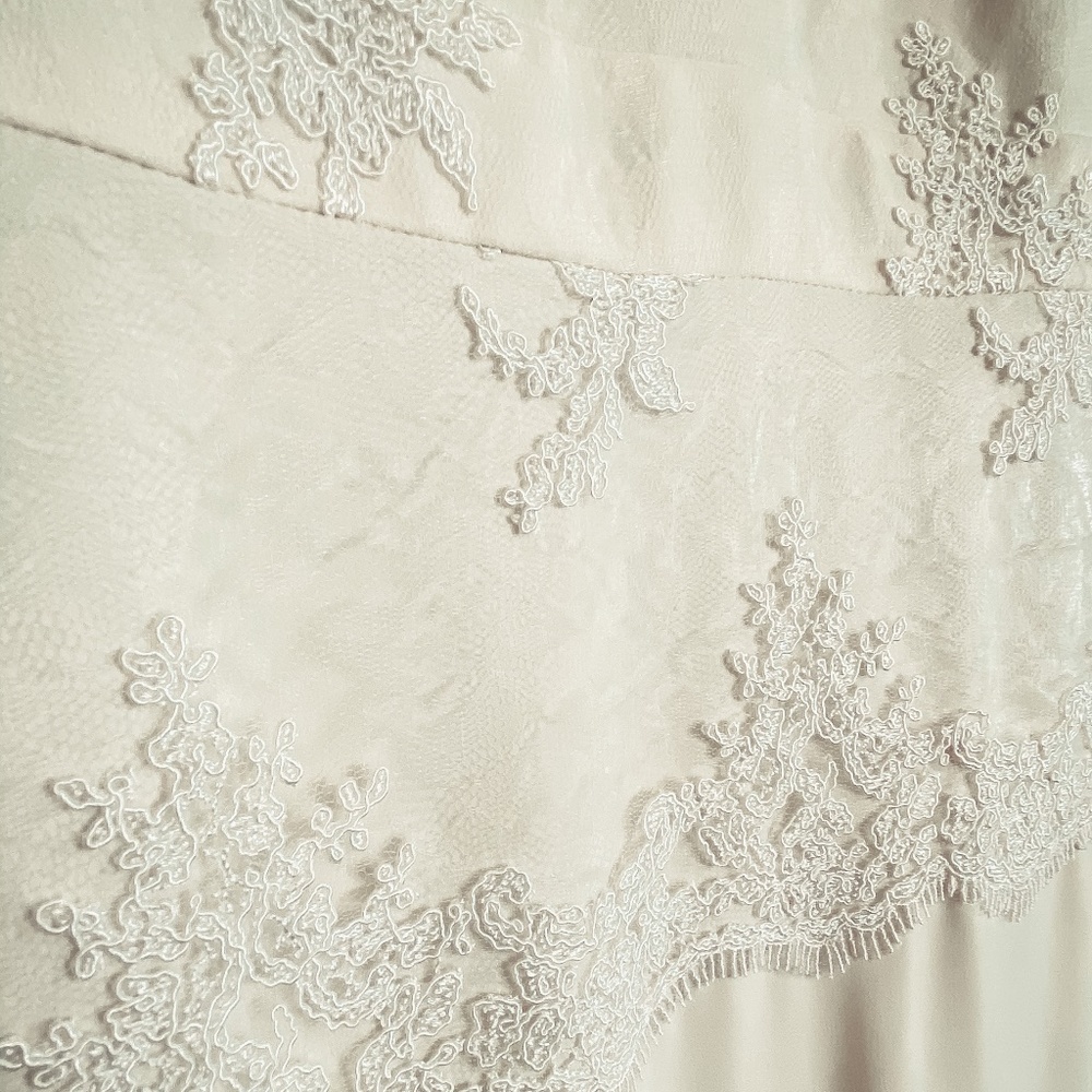BHLDN x Badgley Mischka Wedding Dress - Picture 11 of 12